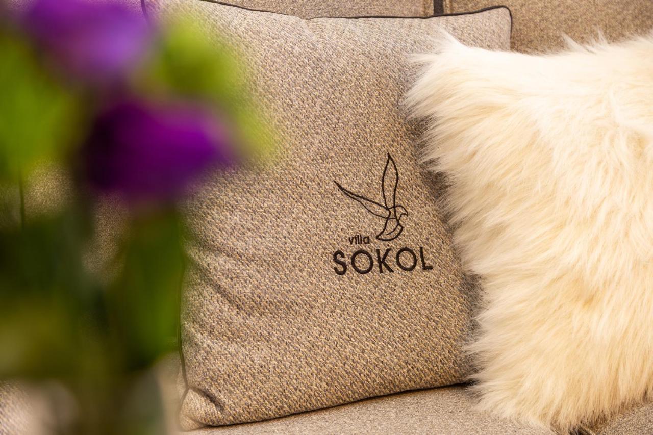 Villa Sokol 보로베츠 외부 사진
